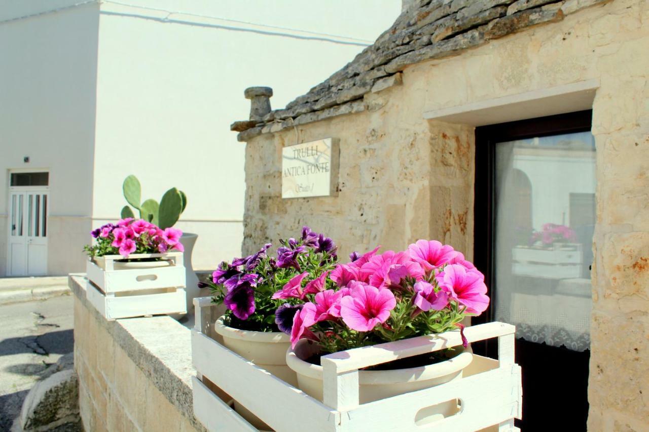 알베르벨로 Trulli Antica Fonte B&B 외부 사진